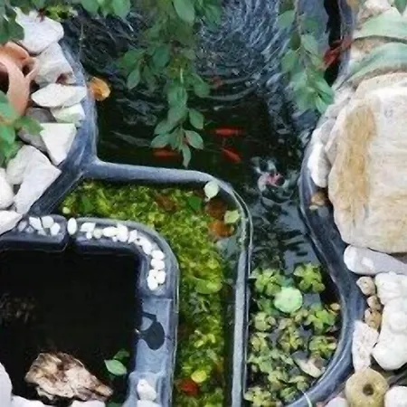 Puesta De Sol Tramonti